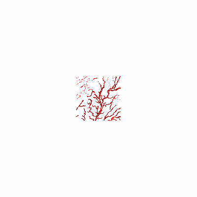 Export Image